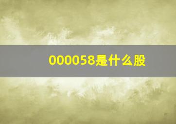 000058是什么股