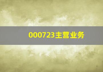 000723主营业务