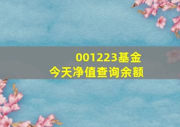 001223基金今天净值查询余额