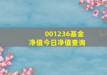 001236基金净值今日净值查询