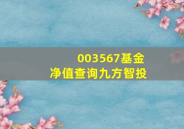 003567基金净值查询九方智投