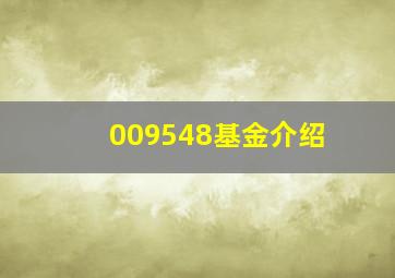 009548基金介绍