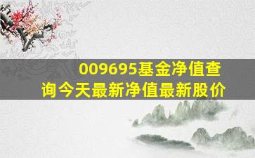 009695基金净值查询今天最新净值最新股价