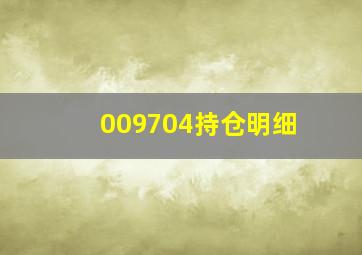 009704持仓明细