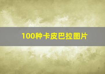 100种卡皮巴拉图片