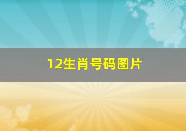 12生肖号码图片