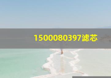 1500080397滤芯