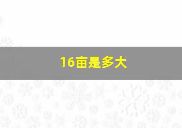 16亩是多大