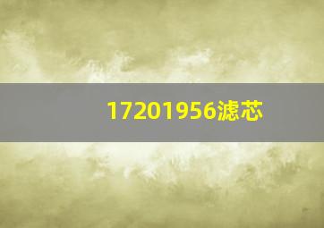 17201956滤芯