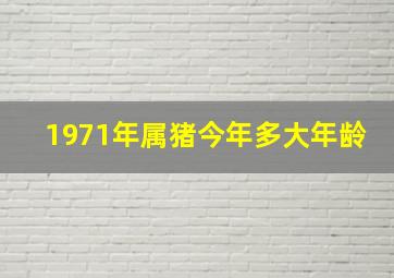 1971年属猪今年多大年龄