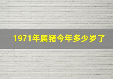 1971年属猪今年多少岁了