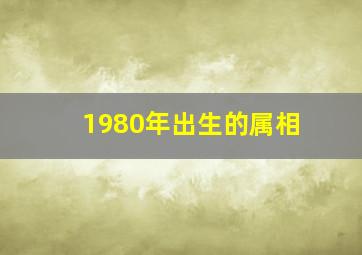 1980年出生的属相