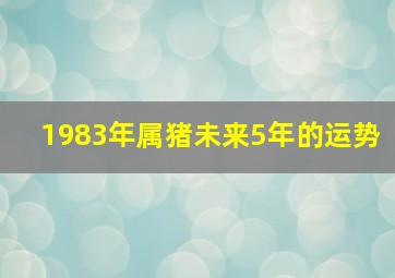 1983年属猪未来5年的运势