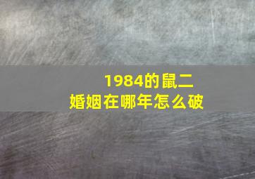 1984的鼠二婚姻在哪年怎么破