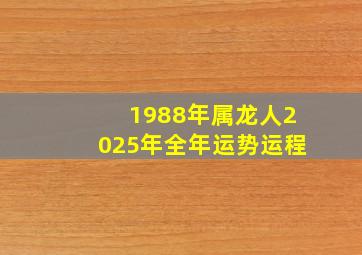 1988年属龙人2025年全年运势运程