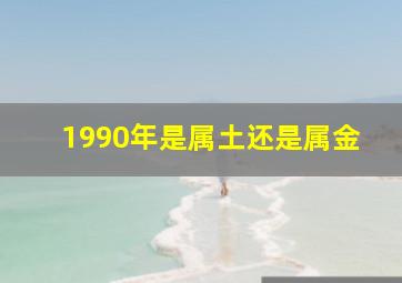 1990年是属土还是属金