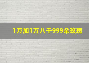 1万加1万八千999朵玫瑰