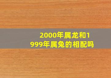 2000年属龙和1999年属兔的相配吗