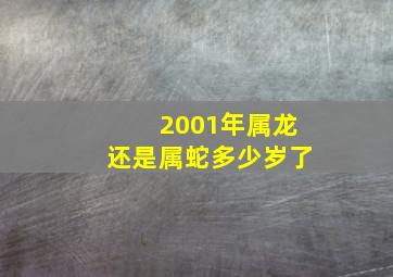 2001年属龙还是属蛇多少岁了