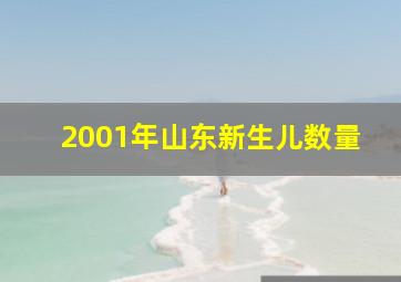 2001年山东新生儿数量