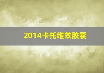 2014卡托维兹胶囊