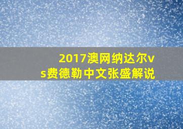 2017澳网纳达尔vs费德勒中文张盛解说