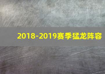 2018-2019赛季猛龙阵容