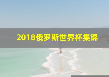 2018俄罗斯世界杯集锦