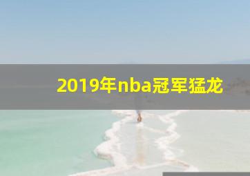 2019年nba冠军猛龙