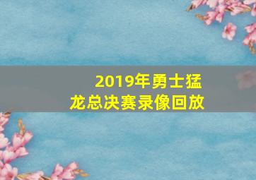 2019年勇士猛龙总决赛录像回放