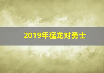 2019年猛龙对勇士