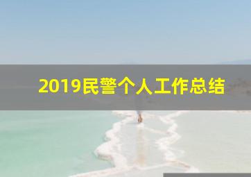 2019民警个人工作总结