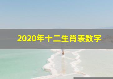 2020年十二生肖表数字