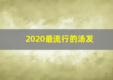 2020最流行的汤发