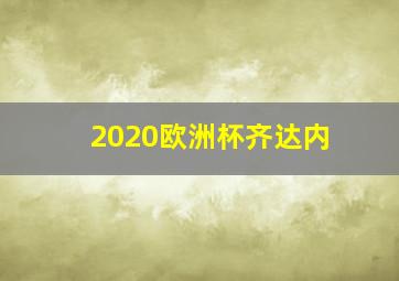 2020欧洲杯齐达内