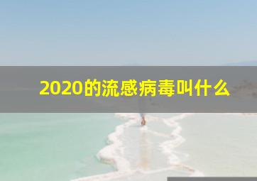 2020的流感病毒叫什么