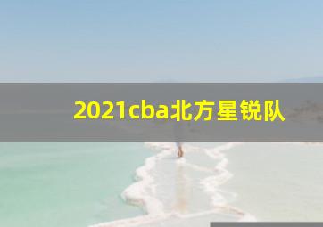 2021cba北方星锐队