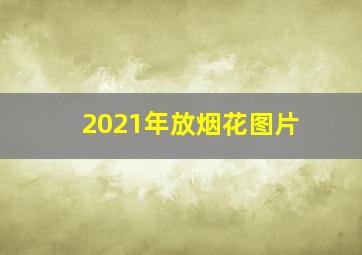 2021年放烟花图片