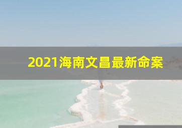 2021海南文昌最新命案