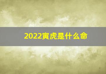 2022寅虎是什么命