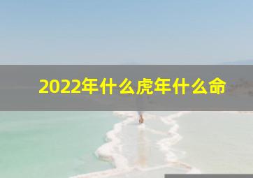 2022年什么虎年什么命