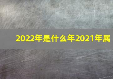 2022年是什么年2021年属