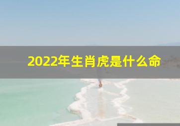 2022年生肖虎是什么命