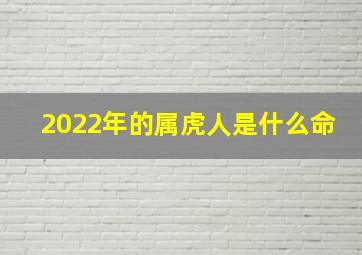 2022年的属虎人是什么命