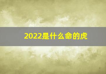 2022是什么命的虎