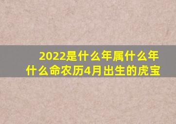 2022是什么年属什么年什么命农历4月出生的虎宝