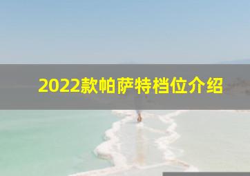 2022款帕萨特档位介绍