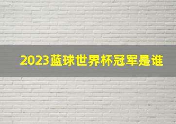 2023蓝球世界杯冠军是谁