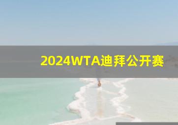 2024WTA迪拜公开赛