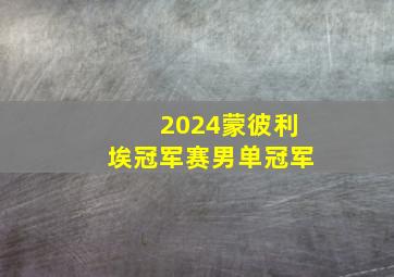 2024蒙彼利埃冠军赛男单冠军